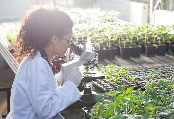 Diploma in Horticulture