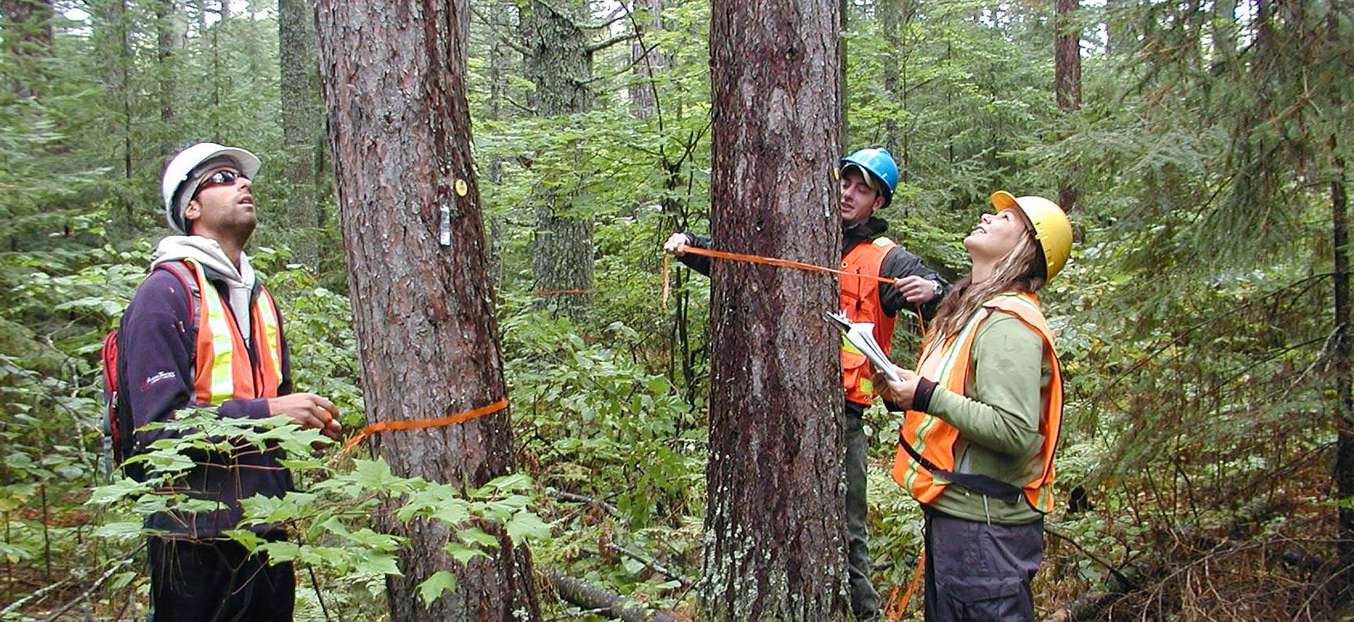 Diploma in Soil Conservation Technician