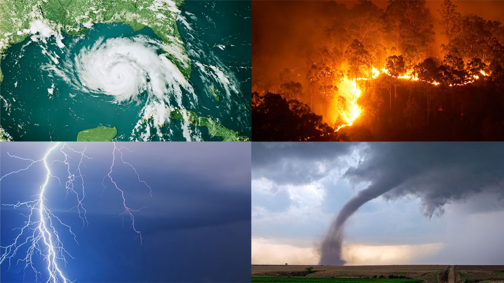 PG Diploma in Disaster Management and Crisis